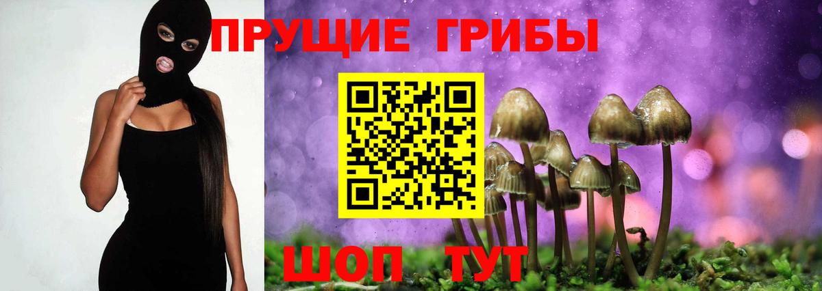 Псилоцибиновые грибы MAGIC MUSHROOMS  Вход с VPN  Псилоцибиновые грибы мухоморы  Сланцы 