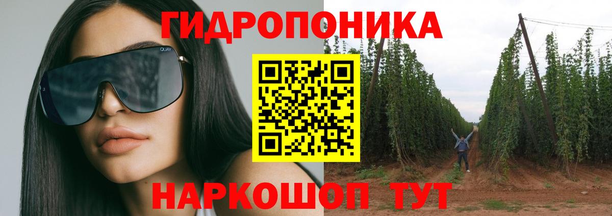 Бошки Шишки гибрид Сланцы